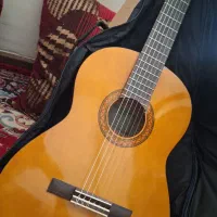 گیتار|گیتار، بیس، امپلیفایر|شیراز, دلجو|دیوار