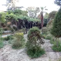 شهرک هرمزیه ۷۳۰متر زمین شهرک برند