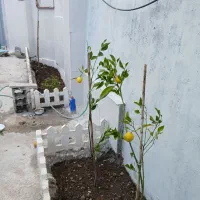 راهنمایی کار