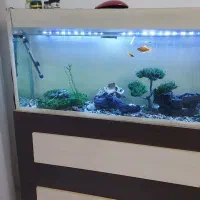 آکواریوم با پایه