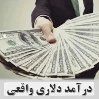 درامد دلاری روزانه با ۱۰۰دلار