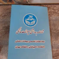 توله سگ اشپیتز ۲ ماه و نیمه|سگ|تهران, جوادیه|دیوار