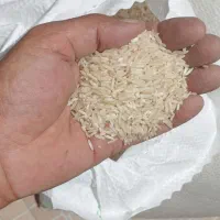 برنج محلی درجه یک ارگانیک نورابادممسنی