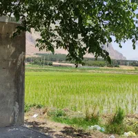 فروش ۳ هکتار|فروش دفتر صنعتی، کشاورزی، تجاری|بیستون, |دیوار