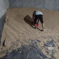 بذر مادری پایا و کوهدشت|خدمات باغبانی و درختکاری|کلاله, |دیوار