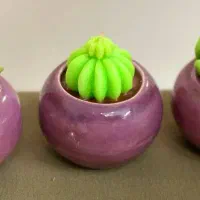 شمع کاکتوسی