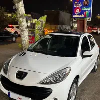 ۲۰۷پانا ۱۴۰۲|خودرو سواری و وانت|رشت, امین الضرب|دیوار