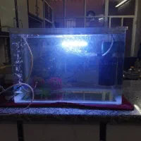 آکواریوم|ماهی|قم, یزدان‌شهر|دیوار