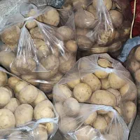 سیب زمینی|خوردنی و آشامیدنی|شهریار, کهنز|دیوار