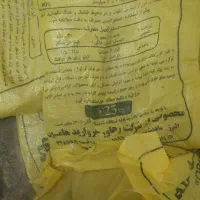 چالکود زمستانه|خدمات باغبانی و درختکاری|الوند, |دیوار