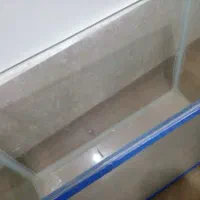 آکواریوم سالم