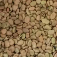 فروش ۴تن باقلا