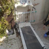 تردمیل|تجهیزات ورزشی|کبودرآهنگ, |دیوار