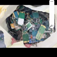 برد