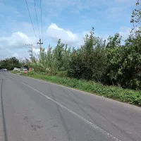 زمین روستایی 300 متری نبش آسفالت قابلیت ساخت|فروش زمین و ملک کلنگی|لنگرود, |دیوار