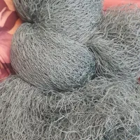 تور بلدرچین