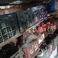 پک جلوبندی .کمک فنر عقب وجلوولنت ضمانتی به قیدوشرط|قطعات یدکی و لوازم جانبی|مشهد, حضرت حجت|دیوار