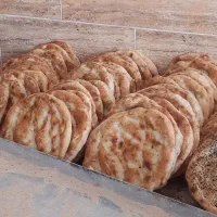 کارگر نانوایی بربری ماهر
