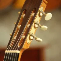 فروش تخصصی گیتار پاپ کلاسیک