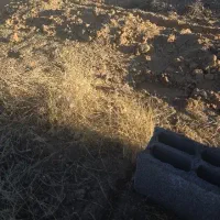 فروش زمین ۱۷۰ متری دو نبش