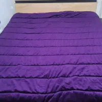 روتختی کالیفرنیا