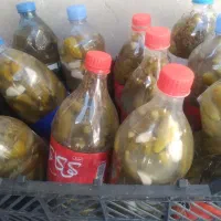 خیارشور تازه  بلغور تازه سبزی معطر ابغوره
