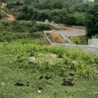 فروش ویژه ی زمین در سوادکوه شهر زیراب|فروش زمین و ملک کلنگی|زیرآب, |دیوار