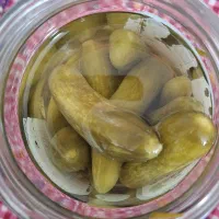 خیارشور ترد و خوشمزه