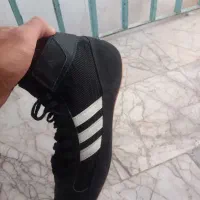 کفش بوکس اصلی تایسونی