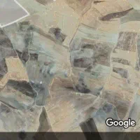 اجاره زمین برای کاشت نخود