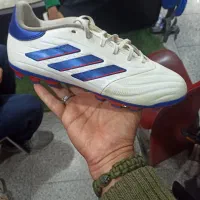 کفش فوتبال چمنی اورجینال و اصلی|کیف، کفش، کمربند|تنکابن, |دیوار