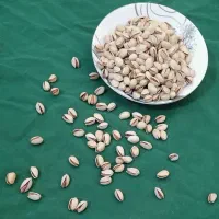 پسته . زیره . گلرنگ . گندم . کوداوره|خدمات باغبانی و درختکاری|خرامه, |دیوار