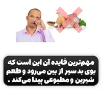 سیر سیاه|خوردنی و آشامیدنی|کرمان, |دیوار