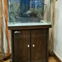 اکواریوم شیشه خم وارداتی