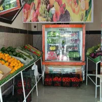 وسایل میوه فروشی