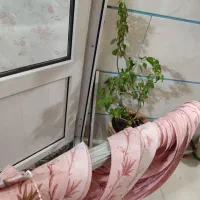 میله پرده عمودی|پرده، رانر، رومیزی|شیراز, شاه قلی بیگی|دیوار