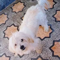 قیمت ۱۰تومن کمتر خواستی میدم