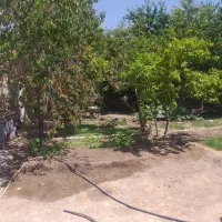 فروش خانه باغ دربهترین منطقه ازشهرستان هشترود|فروش خانه و ویلا|هشترود, |دیوار