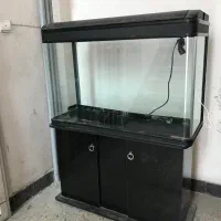 اکواریوم