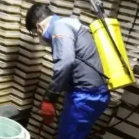 سم پاشی موریانه زدایی سوسک ساس موریانه و موش