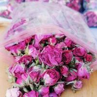 ارگانیک سرا