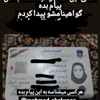 گواهینامه پیدا کردم