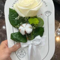 بلیط پول رایگا ن