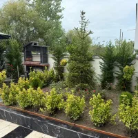 راهنمایی وام برای گلخانه میخام