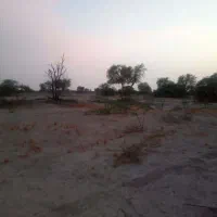 زمین-جلابی