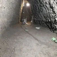 مغنی چاکن مغنی سراسر تهران