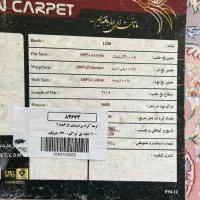 ۲ عدد فرش ۹ متری در حد نو|فرش|دماوند, دماوند|دیوار