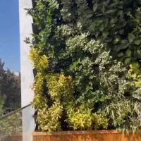 دکوراسیون داخلی