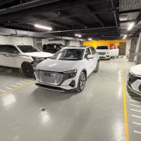 نقاش لیسه گیر حرفه‌ای