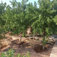 واح۱۶۰متر/دوکله/دوواحدی/لابی جدا/کلیدنخورده